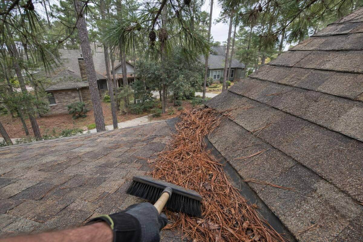 Weathered-wood architectural shingles on a Woodlands roof with pine needles gathered in the valley