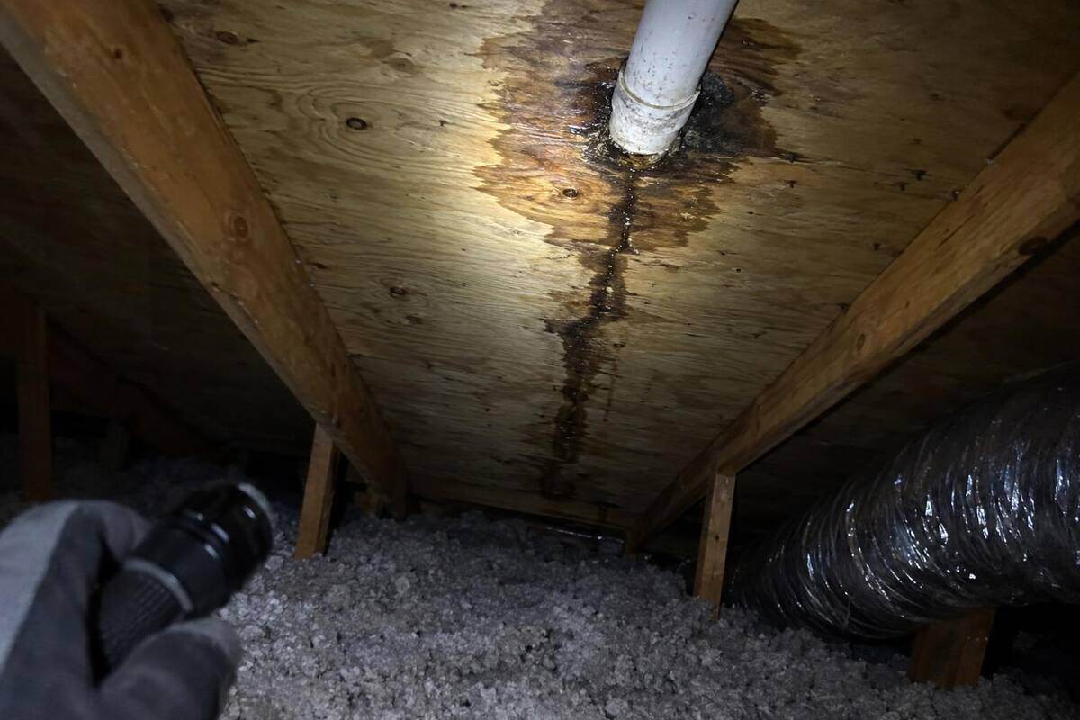 Flashlight beam on the underside of roof decking in an attic, showing a dark stain near a vent pipe